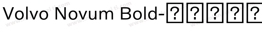 Volvo Novum Bold字体转换